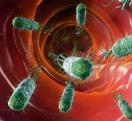 機器人居然靠吃植物和肉生存，美英利用“吃貨”都干了些什么？