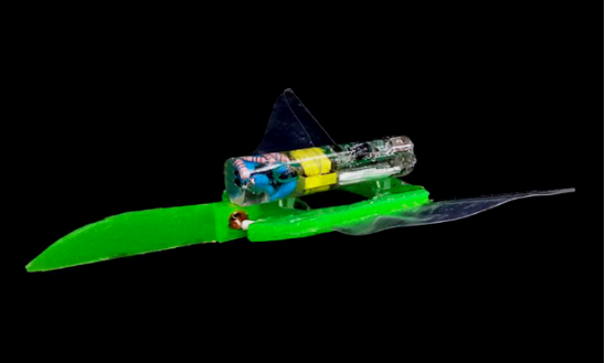 靠電磁場靈活驅動的軟機器人