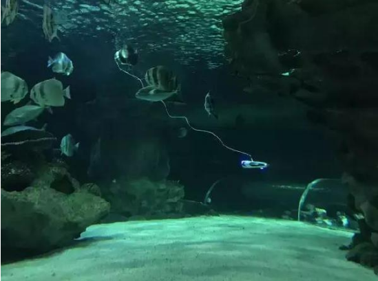 水下拍攝機(jī)器人來了，可水下拍照、攝影、尋魚、放釣鉤
