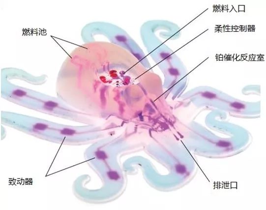 一文讀懂柔性機(jī)器人，看似“柔若無骨”的背后有哪些黑科技