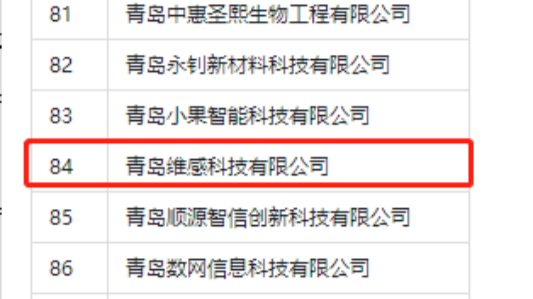 維感科技入圍第二批青島市“專(zhuān)精特新”中小企業(yè)